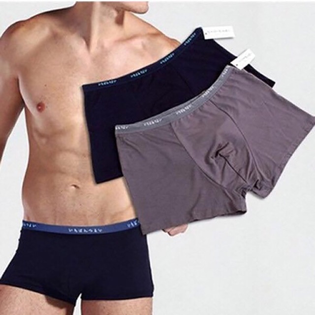 Combo 2 quần sịp đùi nam Nhật Bản