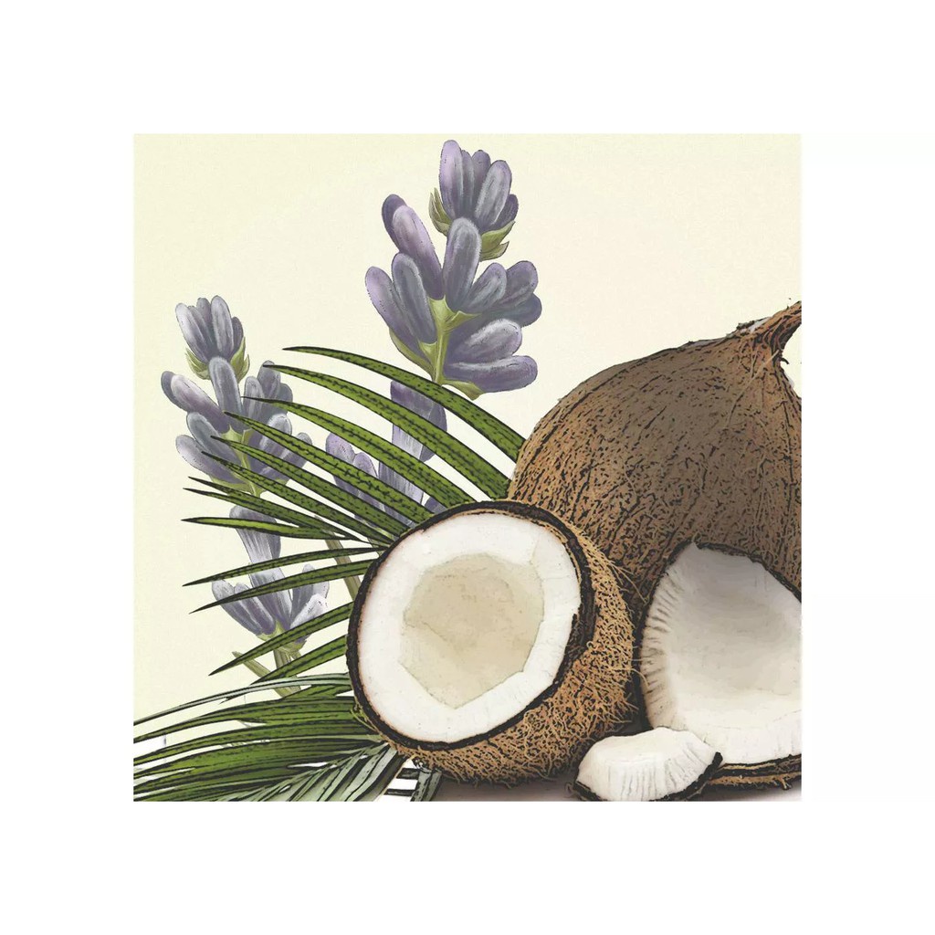 Lăn Sáp Khử Mùi Old Spice Fiji 73G - Cam Kết Chính Hãng