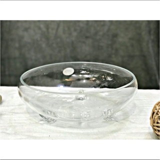 Ang thả cá có chân - Bát thủy tinh thả hoa, cá