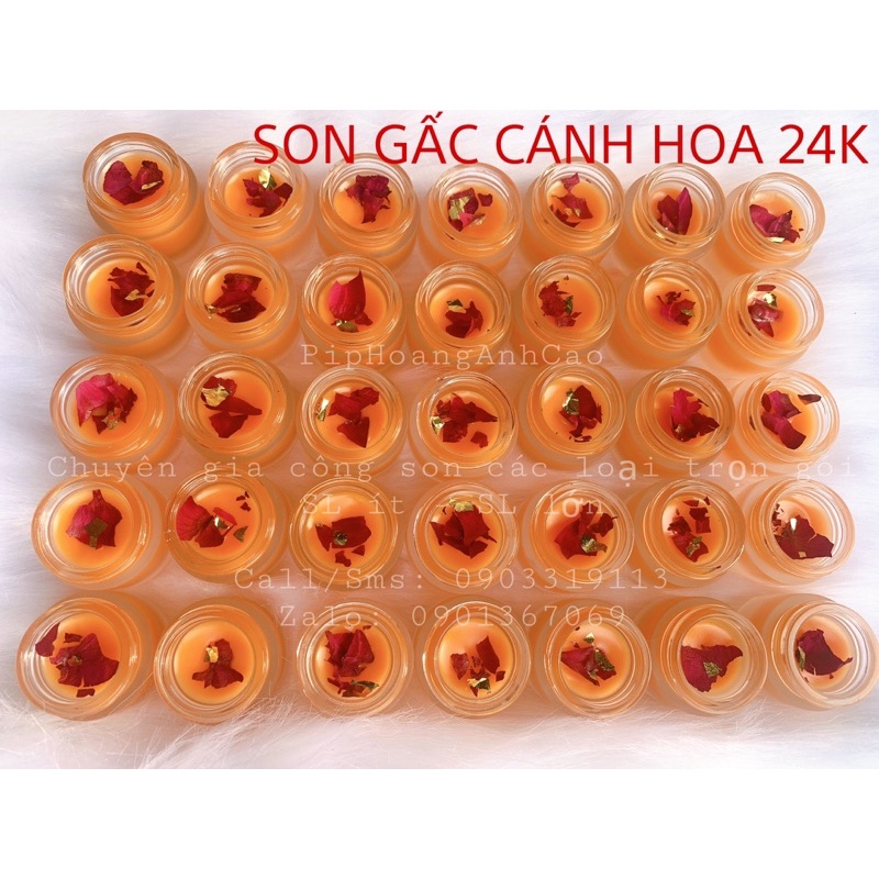 SON CÁNH HOA VÀNG 24K