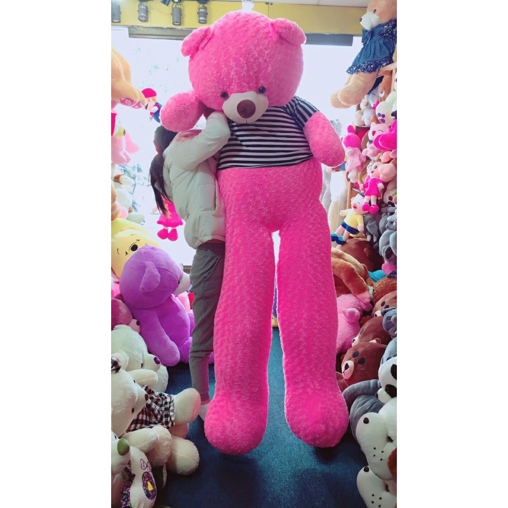 Gấu bông Teddy màu hồng kích thước lớn 1m3 1m7 1m9