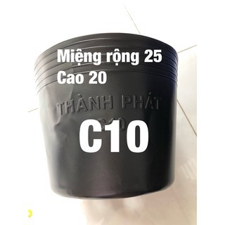 Combo 50 chậu đen C10