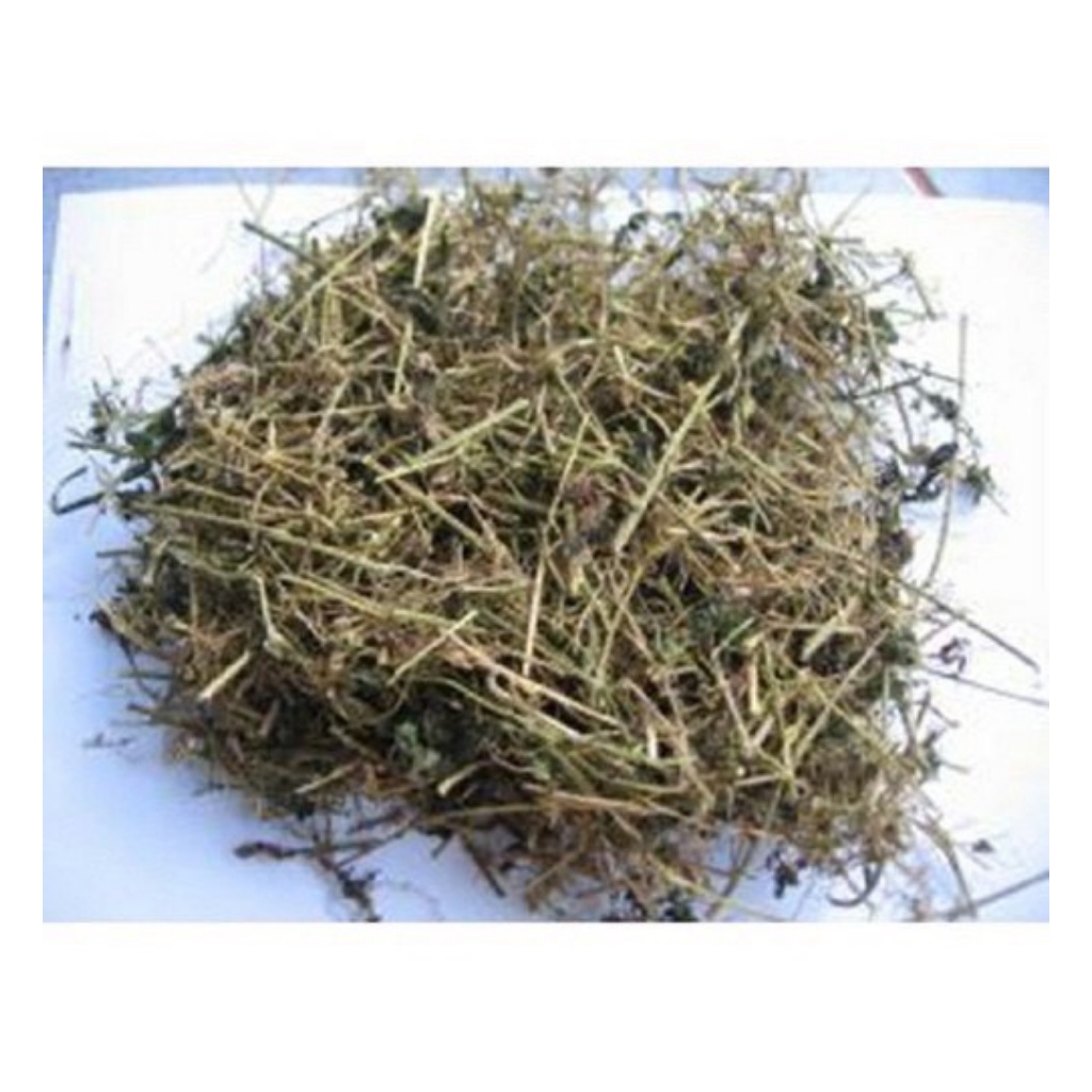 Dây Khổ Qua ( Mướp Đắng ) Rừng Hàng Mới Chất Lượng Hỗ Trợ Tiểu Đường, Gout Túi 1Kg | BigBuy360 - bigbuy360.vn