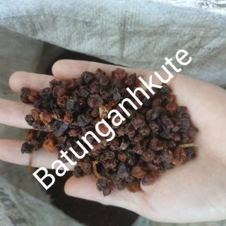 1 kg ngũ vị tử phơi khô