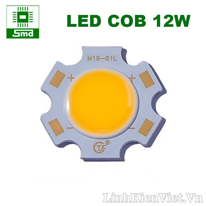 Led COB 20mm Trắng