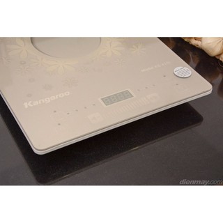 Bếp từ Kangaroo KG419i
