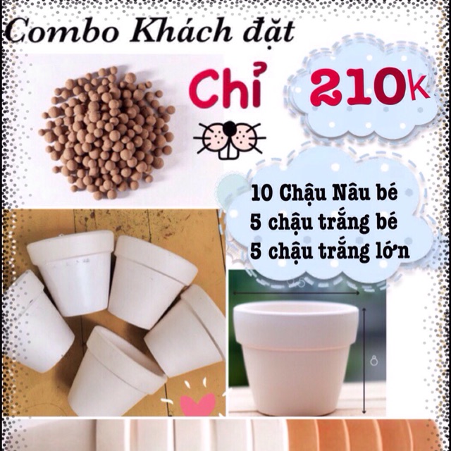 Combo Khách đặt