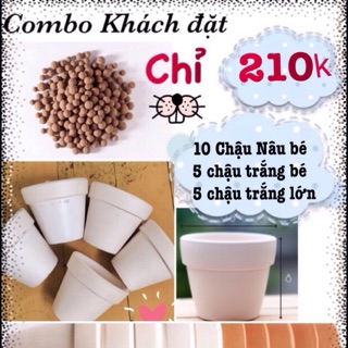 Combo Khách đặt