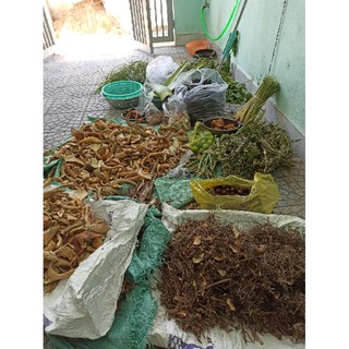 Dầu gội thảo mộc Cung Đình