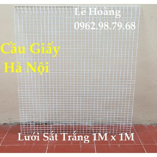 Lưới Sắt 2 Tấm Trắng và 20 Tay Cài 5-10Cm