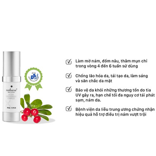 [CHÍNH HÃNG] ENZYME LÀM MỜ VẾT NÁM CHUYÊN SÂU SAKURA ACTIVE BRIGHTENING COMPLEX - CHỐNG LÃO HÓA , TÁI TẠO LÀN DA