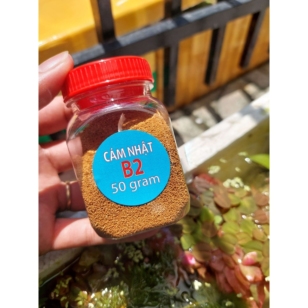 Cám Nhật B2, Cám Đạm Cao dành cho guppy