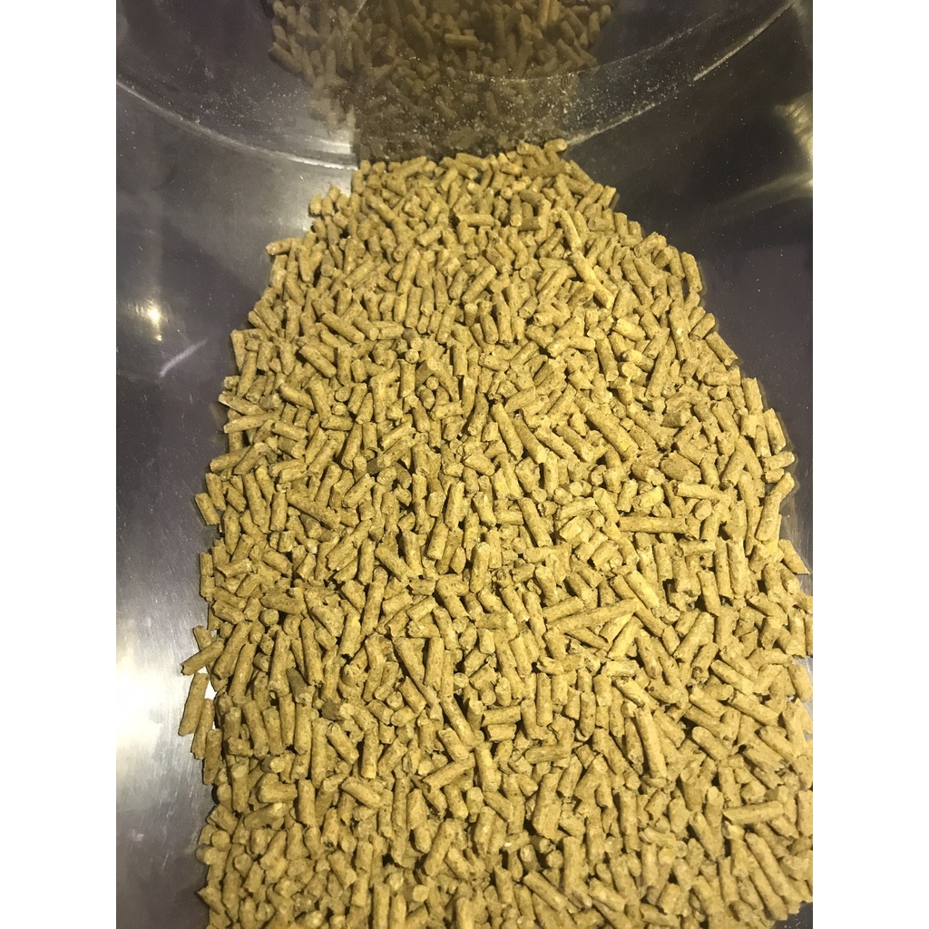 Cám Gà Con - Cám Gà Đẻ | Thức ăn hỗn hợp cho gà con, gà đẻ, gà thịt