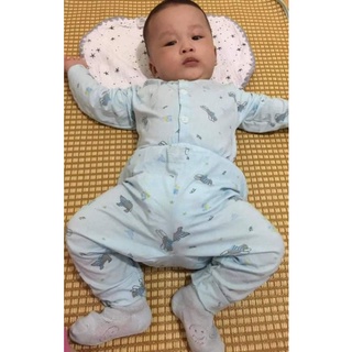 chiếu lục bình loại 1