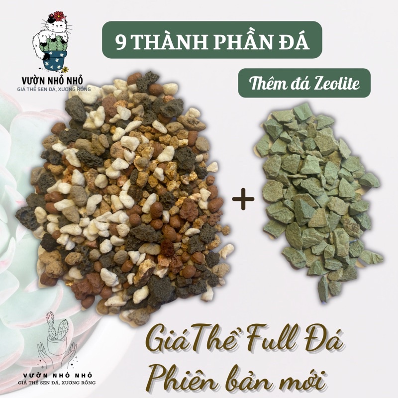 1kg Giá thể full đá Phiên Bản Mới 9 thành phần, Đất trồng sen đá, xương rồng, lithops, mọng nước, đã được trộn sẵn.