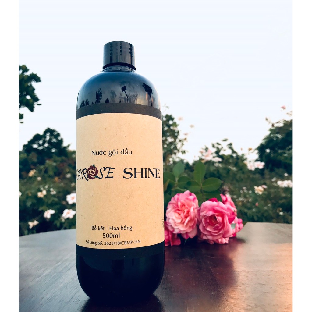 [ DATE MỚI NHẤT ] NƯỚC GỘI ĐẦU KAROSE SHINE
