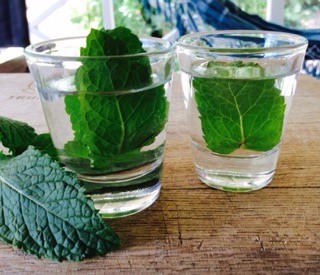 NƯỚC LÁ BẠC HÀ (HYDROSOL PEPPERMINT) - 50ML