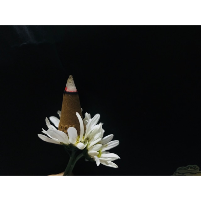 Trầm nụ