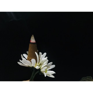 Trầm nụ