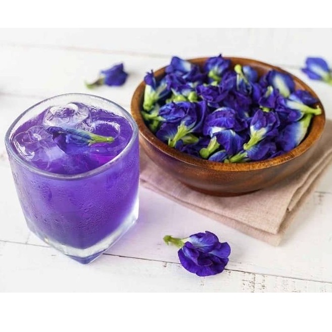 Hạt giống hoa đậu biếc 100 hạt
