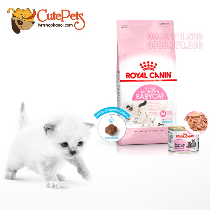 Hạt Royal Canin BabyCat 34 400gr Thức ăn mèo con 1- 4 tháng - Phụ Kiện Thú Cưng