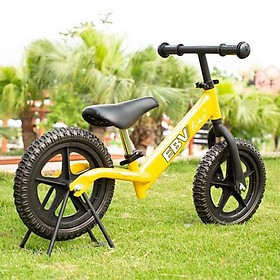 Xe thăng bằng EBV Pro