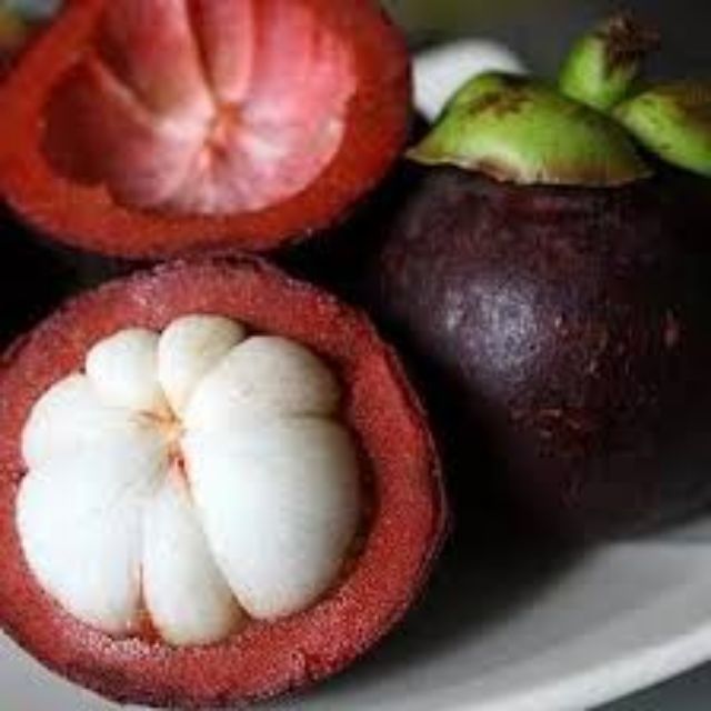 Măng cụt 2k9