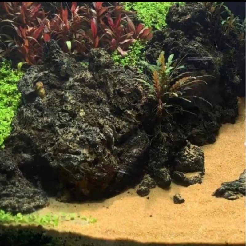 Cát vàng lót nền hồ thủy sinh - bể cá cảnh - 500gr