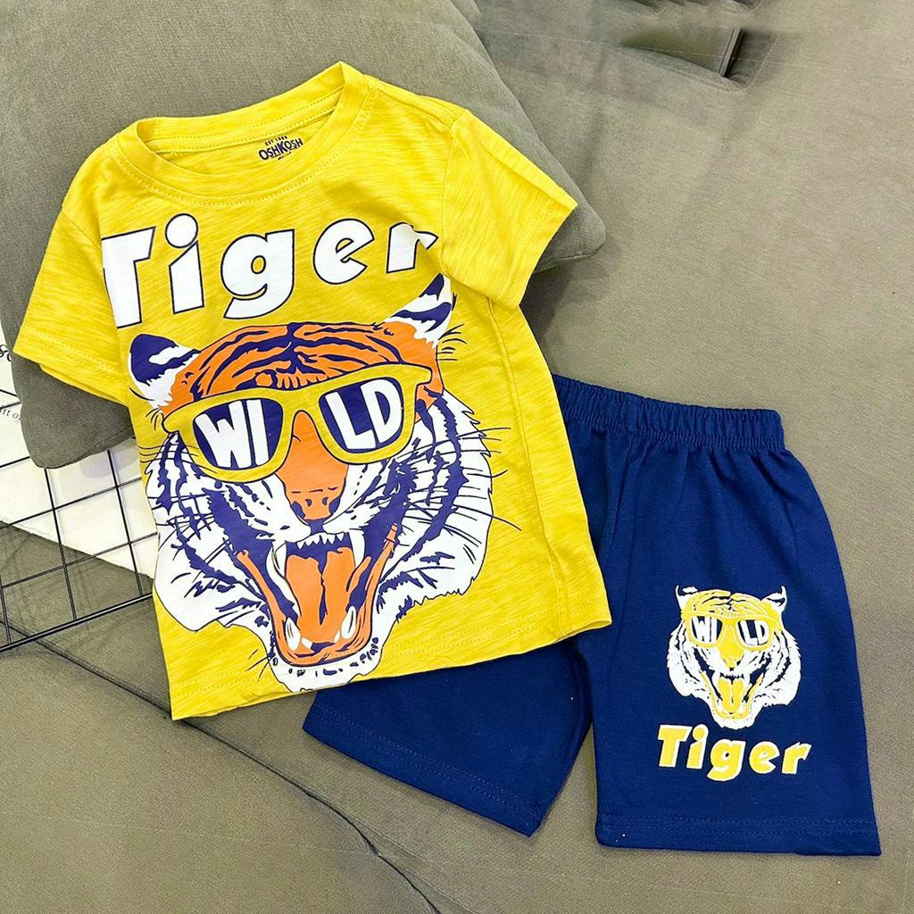 Combo đồ bộ bé trai size đại 11-40 kg set 3 5 bộ quần đùi áo cộc tay cho bé trai thun cotton mặc mát Homie Kids