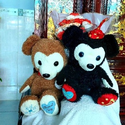 Gấu bông classical cute bear AMUSE