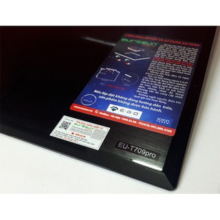 Bếp từ Eurosun EU-T709pro