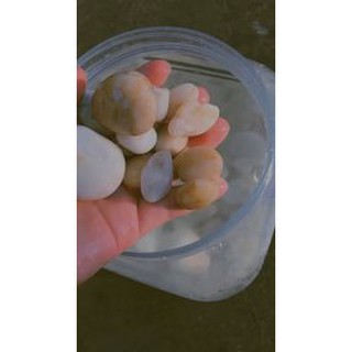 Đá cuội trắng trang trí bể cá,trang trí cây cảnh