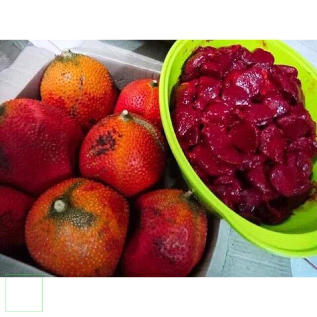 Bi lăn dầu gấc cho môi mềm đỏ tự nhiên