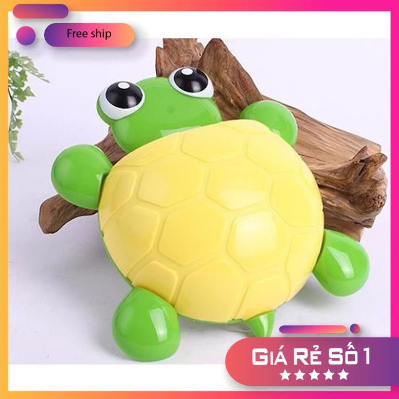 Dụng cụ cắm bàn chải và kem đánh răng hình chú rùa