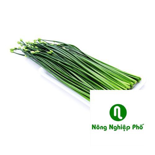 5 GRAM HẠT GIỐNG HẸ BÔNG PHUNONG