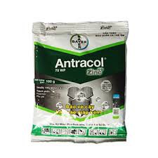 Trị nấm bệnh cho cây trồng Antracol 70wp - gói 100g