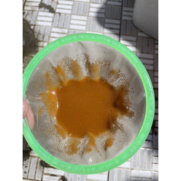 Artemia ấp nở Lon Đỏ Loại 1