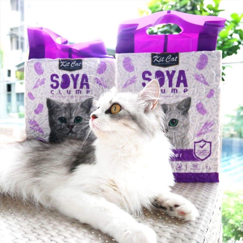 Cát Kit Cat Đậu Nành Soya vệ sinh cho mèo 7L