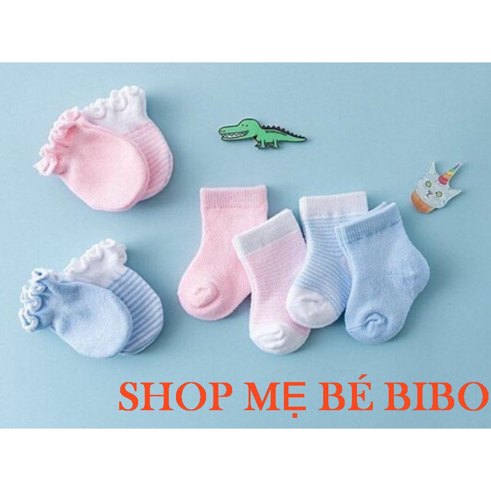 Sét Bao Tay Bao Chân Len Cho Bé Sơ Sinh - 5 Tháng Dòng Cao Cấp Đẹp, Mịn
