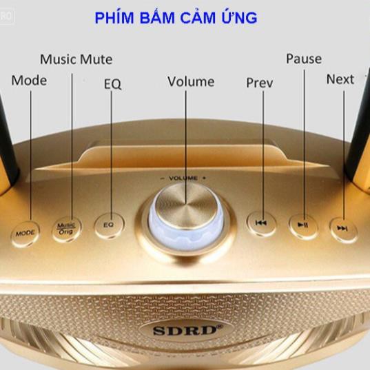 Loa Karaoke Bluetooth SD-306, Tặng Kèm 2 Mic Hát Không Dây Phù Hợp Hội Nhóm, Gia Đình - BH 6 Tháng