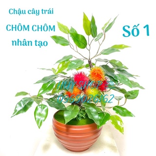 CHẬU CÂY TRÁI CHÔM CHÔM NHÂN TẠO SỐ 1 TRANG TRÍ NHÀ CỬA (5 TRÁI)