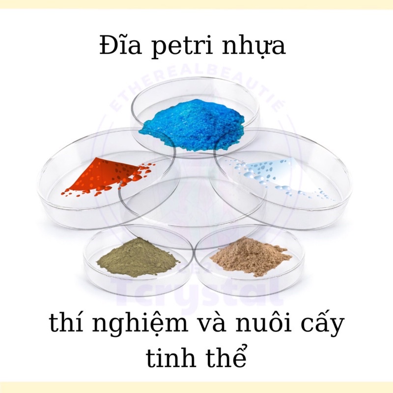 1 Cái - Đĩa Petri Nhựa Dùng Để Nuôi Mầm Tinh Thể Đẹp Đường Kính 90Mm L Tcrystalstore