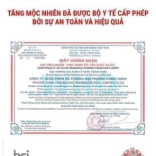 Tăng Mộc Nhiên Strong Kid