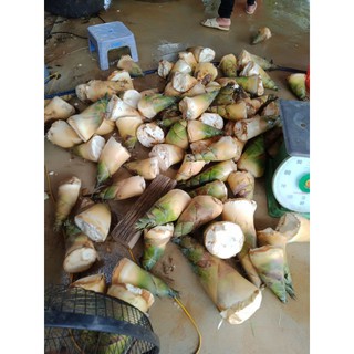 combo 2kg măng khô