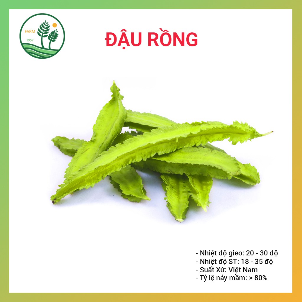 Hạt Giống Đậu Rồng 20g(Wing Bean)