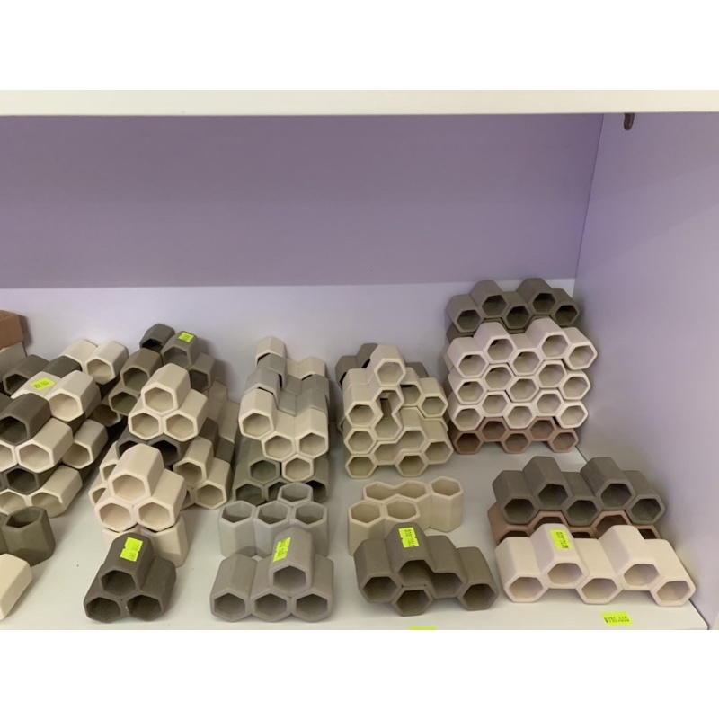 Hang Pleco “HANG 4 LỖ - 80k”