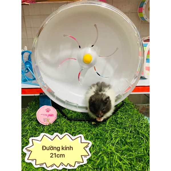 vòng chạy đường kính 21cm cho hamster , chuột cảnh , nhím cảnh