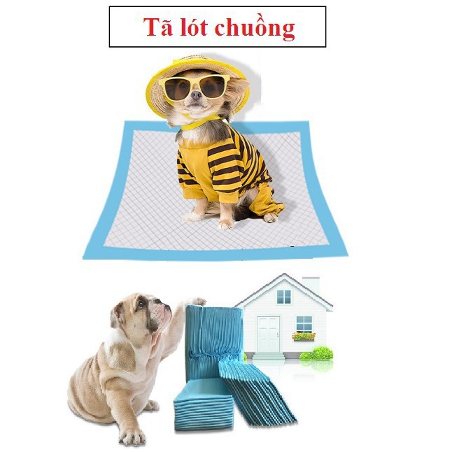1 Tấm Tã Lót Chuồng Chó Mèo Đa Năng Thấm Hút Tốt Size S/M/L/XL - Jpet shop