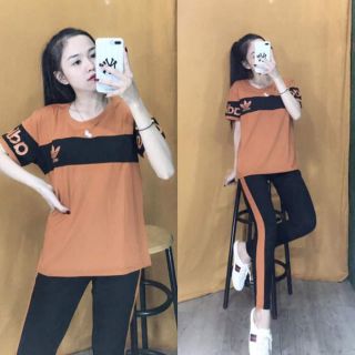 Bo côtbg mật nha