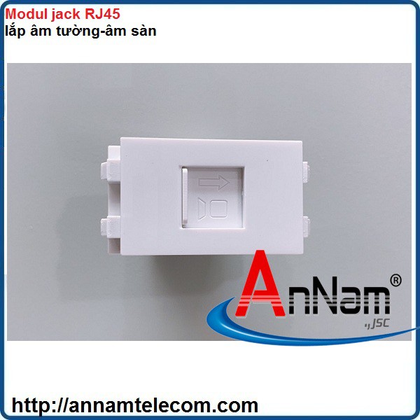 Ổ cắm Nhân mạng RJ45 nắp âm tường, âm sàn (cat5/cat6)